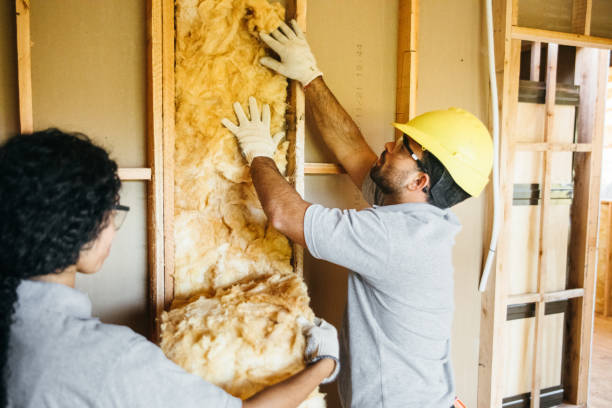 Best Insulation for New Construction  in Buckhall, VA